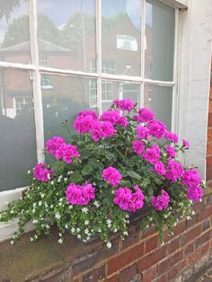 pink flowers in a window box on the side of a brick building with white windows