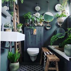 a bathroom with plants and mirrors on the wall