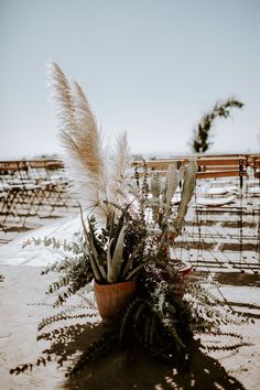 a potted plant sitting on top of a sandy beach