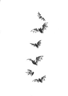 several bats are flying in the sky above each other on a white sheet with black ink