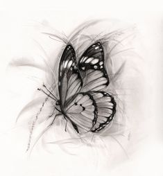 two black and white butterflies sitting on top of each other in the middle of some feathers