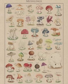 a poster with many different mushrooms on it