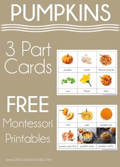 three pumpkins cards with the words 3 part cards and free montessoi printables