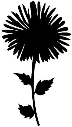 a black and white silhouette of a dandelion flower on a white background with clippings