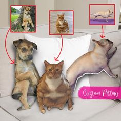 three dogs and two cats are sitting on a couch with the caption custom pillow