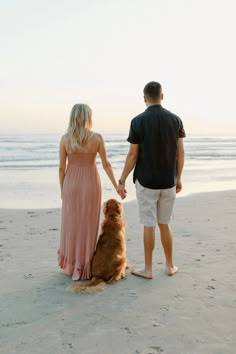 a man and woman holding hands while standing on the beach with their dog, looking at the ocean