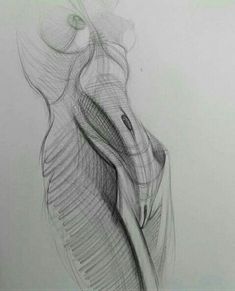 a pencil drawing of a woman's torso