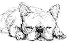 a drawing of a dog laying down on the ground