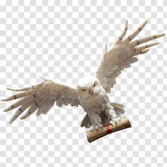 an owl is flying with its wings spread out and holding a piece of wood in it's claws