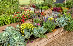 a garden filled with lots of different types of flowers and plants next to each other