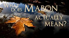 a leaf floating on top of water with the words what does mabon actually mean?