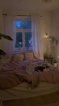 a cat laying on top of a bed next to a window in a room with white curtains