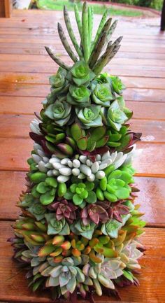 a very tall stack of succulents sitting on top of a wooden table