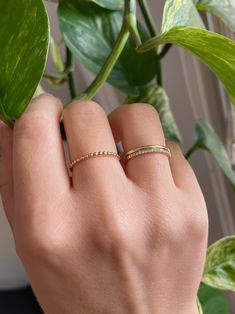 14k gold small beaded band ring Bead Wire, Female Founders, Small Beads, Sustainable Jewelry, Stacking Ring, Everyday Jewelry, Gold Beads, Gold Bands, Classic Style