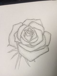 a pencil drawing of a rose on paper