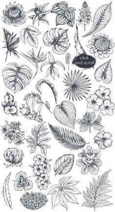 a bunch of flowers that are drawn in pencil