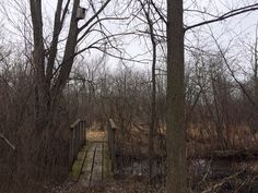 an old wooden bridge in the woods with no people on it or any other things