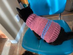 a black cat wearing a pink sweater sitting on top of a blue chair