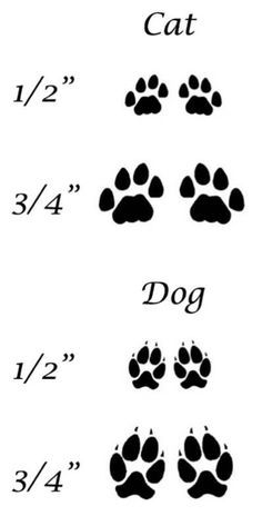 an image of cat and dog paw prints on a white background, with the numbers 1 - 4