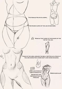 Body Female, Female Anatomy Reference, Soyut Sanat Tabloları, Female Anatomy