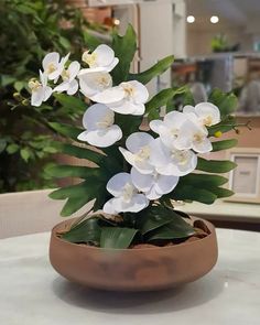 there is a potted plant with white flowers in it on top of a table