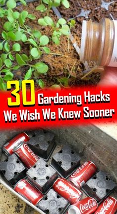 an image of gardening hacks we wish we knew so many ways to use them