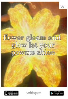 a yellow flower with the words, flower glam and glow let your powers shine