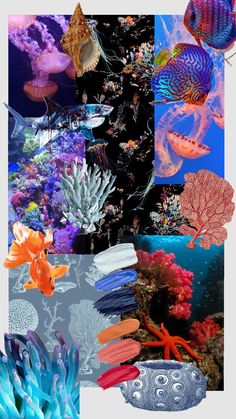 a collage of different sea creatures including corals, fish and other marine life