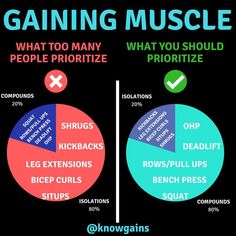 two pies with the words gaining muscle and what to many people prioritize