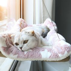 a cat laying in a pink and white kitty bed on a window sill next to a window