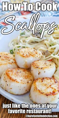 scallops on a white plate with pasta and sauce in the background text reads how to cook scallops just like the ones at your favorite restaurant