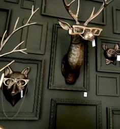 two deer head mounted to the side of a wall with glasses on it's face