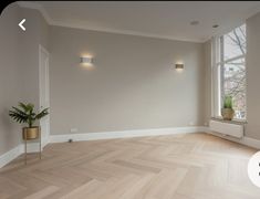 an empty room with two large windows and wooden floors in the center is a potted plant