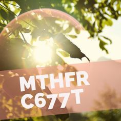 Living with MTHFR: C677T/T677T - MTHFR Experts Nutrition Supplements, Chronic Migraines, Mood Changes