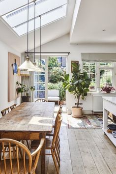 a dining room table with chairs and a potted plant in the middle of it