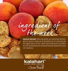 Health, Skin Care and Lifestyle Products www.kalaharilifestyle.com  www.facebook.com/kalaharilifestyle Apricot Seeds, Apricot Kernels, Layers Of Skin, Beauty Hacks