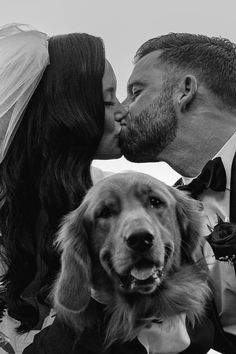 a bride and groom kissing their dog