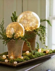 two potted plants with lights in them on top of a wooden table next to a window