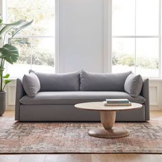 a living room with a couch, coffee table and potted plant in the corner