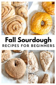 several different types of doughnuts with the words fall sourdough recipes for beginners