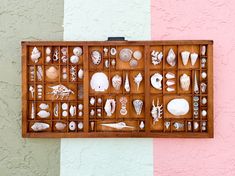 a wooden box filled with lots of different types of seashells on a pink and white wall