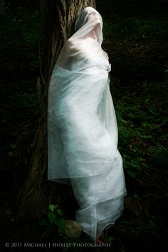 a white cloth wrapped around a tree in the woods, covering it's head