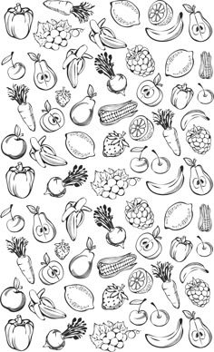 a large collection of fruits and vegetables drawn by hand in black ink on white paper