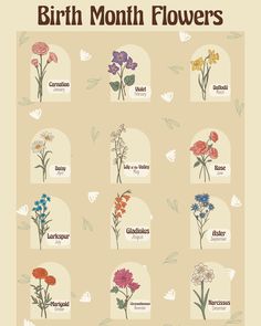 the different types of flowers are shown in this graphic style, and each flower has its own name on it