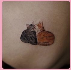 two cats laying next to each other on top of a woman's stomach,