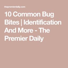 the words, 10 common bug bites identification and more - the premier daily