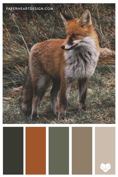 a red fox standing in the grass with color swatches