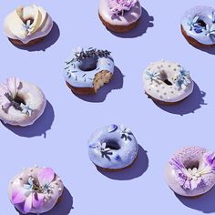 six doughnuts with frosting and flowers are arranged on a blue background,