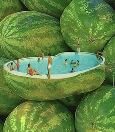 a large pile of watermelon with people swimming in the pool surrounded by them