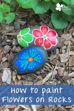 two painted rocks sitting on top of the ground next to some leaves and flowers,